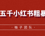 月入五千小红书粗暴赚钱玩法,适合上班族的赚钱副业-木石资源网