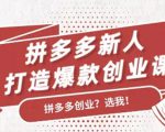 拼多多新人打造爆款创业课:快速引流持续出单,适用于所有新人-木石资源网