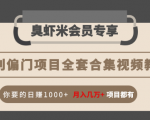 暴利偏门项目全套合集视频教程:你要的日赚1000+月入几万+项目都有-木石资源网