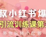狼叔小红书爆款推广引流训练课第12期,手把手带你玩转小红书-木石资源网