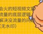 只说话就会火的短视频文案课,从根本上解决没流量的问题-木石资源网