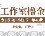 工作室撸金二件套：撸今日头条原创收益+小红书一单利润40块项目-木石资源网