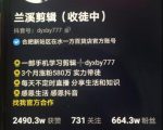 兰溪抖音混剪:一部手机学习剪辑,3个月涨粉580万-木石资源网