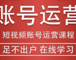 短视频账号运营课程:从话术到短视频运营再到直播带货全流程,新人快速入门-木石资源网