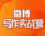 村西边老王·微博超级写作实战营,帮助你粉丝猛涨价值999元-木石资源网