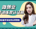 微创业全能训练营认证班课程,从理论知识与实际案例手把手指导创业新手如何从零到有-木石资源网