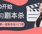 红娘子·从0开始学习剧本杀,你的第一堂剧本杀入门课 简单易懂 市场需求大-木石资源网