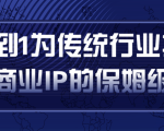 从0到1为传统行业打造抖音商业IP简单高效的保姆级攻略-木石资源网