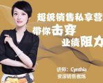 有料识堂·超级销售私享课,解密顶级销售的套路打法助你升级销冠-木石资源网