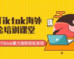 最新Tiktok海外掘金培训课堂：带你玩转Tiktok暴力涨粉轻松变现-木石资源网