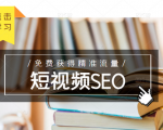 未来新趋势,布局短视频SEO,如何利用抖音SEO免费获得精准流量(3节课)-木石资源网