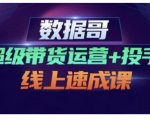 数据哥·超级带货运营+投手线上速成课,快速提升运营和熟悉学会投手技巧-木石资源网