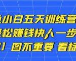 卓让闲鱼小白五天训练营，每天一小时，轻松赚钱快人一步-木石资源网