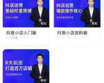湛北·抖音小店入门进阶高阶合集，八大玩法打造百万店铺-木石资源网