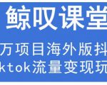鲸叹号·海外TIKTOK训练营，百万项目海外版抖音tiktok流量变现玩法-木石资源网