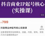 抖音商业IP起号核心实操课,带你玩转算法,流量,内容,架构,变现-木石资源网