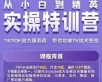 Seven漆·2022Tiktok从小白到精英实操特训营，带你掌握Tiktok账号运营-木石资源网