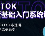 Tiktok实操进阶课程，体验从tiktok小透明到大佬的完美蜕变-木石资源网