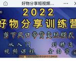 萌飞好物·2022抖音好物分享训练营，当下风口带货变现模式，从入门到精通-木石资源网