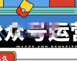零零已久·从0-1运营公众号,零基础小白也能上手,系统性了解公众号运营-木石资源网