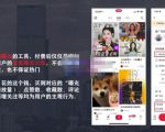 麦子互娱短视频带货·0基础做好物分享账号,无需出镜无需货源无需拍摄-木石资源网