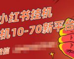 视频号小红书抖音挂机项目,小白无脑操作,按照要求来,单号每天几十米-木石资源网