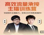 高效流量承接主播训练营：快速提升主播能力,实现100万销售直播间-木石资源网