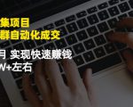 虚拟图集项目:矩阵站群自动化成交,3-5个月实现快速赚钱月入1W+左右-木石资源网