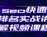 seo快速排名实战讲解视频课程,揭秘seo快排原理-木石资源网
