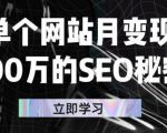 单个网站月变现100万的SEO秘密，百分百做出赚钱站点-木石资源网