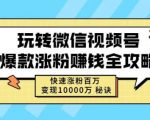 玩转微信视频号爆款涨粉赚钱全攻略，快速涨粉百万变现万元秘诀-木石资源网