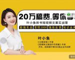 叶小鱼21天短视频文案拆书营，学完轻松搞定各类书单短视频文案-木石资源网