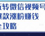 玩转微信视频号爆款涨粉赚钱全攻略，让你快速抓住流量风口，收获红利财富-木石资源网