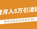 老古董·抖音月入5万引流玩法,看看老司机如何玩转抖音(附赠:抖音另类引流思路)-木石资源网