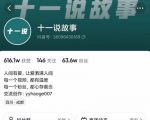 十一说故事·故事性中视频，观众快速共鸣从而快速变现的中视频玩法-木石资源网
