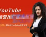 外国人眼中的YouTube该怎么玩？Elisa·YouTube运营推广实战技巧-木石资源网