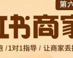 贾真-小红书商家营第6期商家版，21天带货陪跑课，让商家丢掉付流量-木石资源网