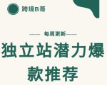 【跨境B哥】独立站潜力爆款选品推荐,测款出单率高达百分之80-木石资源网