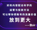 张sir账号流量增长课,告别海王流量,让你的流量更精准-木石资源网