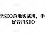 王通·抖音SEO落地实战班,手手带你做好音抖SEO-木石资源网