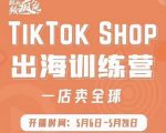 疯人院:TikTok Shop出海训练营(一店卖全球),出海抢占全球新流量-木石资源网