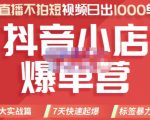 推易电商·2022年抖音小店爆单营，不直播、不拍短视频、日出1000单，暴力玩法-木石资源网
