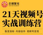 张萌21天视频号实战训练营,裂变涨粉、内容创作、视频号变现 价值298元-木石资源网