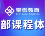 星雪教育淘系高级班，更全的运营提升方案，零基础由浅入深，店铺最新玩法-木石资源网