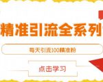 闲鱼精准引流全系列课程，每天引流100精准粉【视频课程】-木石资源网