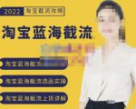 2022淘宝蓝海截流攻略,淘宝蓝海截流选品上货实操讲解-木石资源网