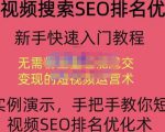 宋老师·短视频搜索SEO优化,教你10分钟创作一个短视频,三天排名上第一-木石资源网