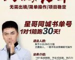 星哥同城教育书单号课程,无需出境简单操作项目稳定-木石资源网