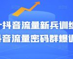 Peter抖音流量新兵训练营-破解抖音流量密码群爆训练营（新兵）-木石资源网