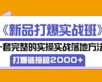 凌童《新品打爆实战班》,一套完整的实操实战落地方法,打爆链接超2000+(28节课)-木石资源网